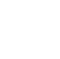 The Anam